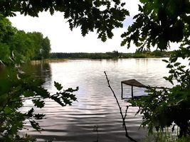 401 224 Sychrovský rybník - kontrola 10.6.22 (3).jpg